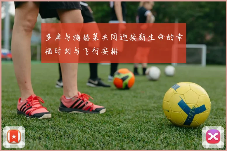 多库与梅赫莱共同迎接新生命的幸福时刻与飞行安排