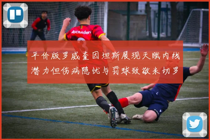 平价版罗威奎因坦斯展现天赋内线潜力但伤病隐忧与罚球致敬米切罗