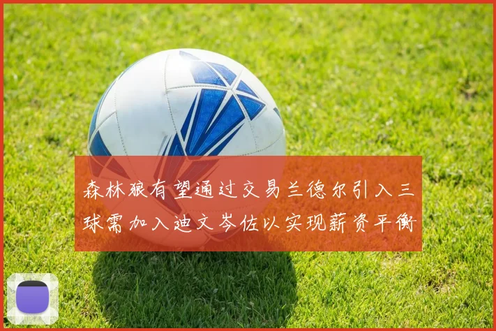森林狼有望通过交易兰德尔引入三球需加入迪文岑佐以实现薪资平衡