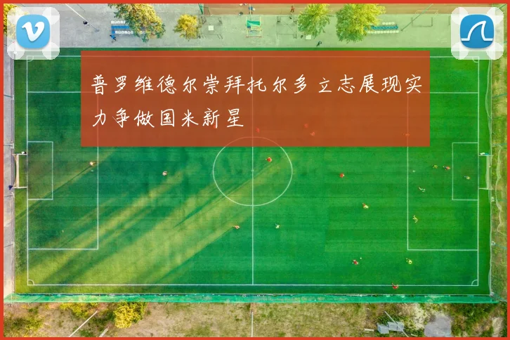 普罗维德尔崇拜托尔多立志展现实力争做国米新星